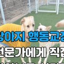 불리빌로우코리아센터 이미지