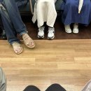 피키(piki) | [도쿄워홀] D+31~41 일상, 일본알바,현타