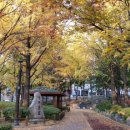 (주)휴먼필드 이미지