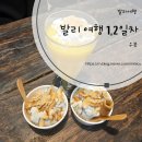 [ 발리 여행 1,2일차] 콜밴/SQ0605/싱가포르공항/SQ0934/응루라라이공항/공항픽업/Dina villa/피손 우붓...