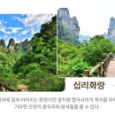 무릉도원 티스토리