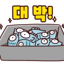 욕지바다낚시 네이버블로그