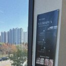 미모엔미모에스테틱