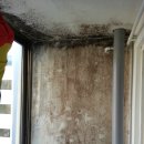 득산부영아파트-109동뒤 | 아산 곰팡이제거 OK (아산 득산아파트 베란다 곰팡이제거 방법)