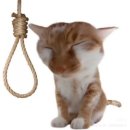 친구.ZIP 네이버블로그