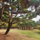 은빛77번길 이미지