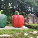 용대주유소 이미지