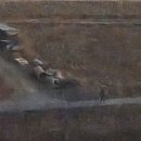 강골농장 이미지