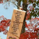 푸른향기 이미지