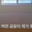 청소닥터 이미지