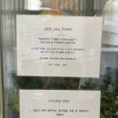 위드유플라워 이미지
