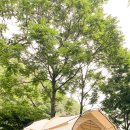 금방아 민박 캠핑장 이미지