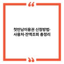 주)삼주국민마트 | 첫만남이용권 신청방법·사용처·잔액조회 총정리