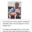 시무라켄 사망소식 이미지