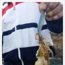 바다위통나무펜션씨그리메 이미지