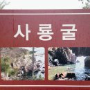 스테이사룡 이미지