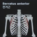 헬린이창고 이미지