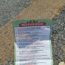 첫 장박캠핑장 청도 수리덤 캠핑장 대구근교