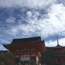 연지상점가 | 떠나요 일본으로 🇯🇵