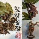 (주)침향농장