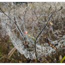 영산강식당 이미지