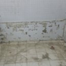 관리동화장실 네이버블로그