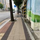 계속 갈기기만하는 무주산골영화제 후기