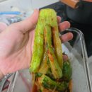 만나별미 | 예소담 오이소박이추천 여름철 입맛 살리는 아삭한 별미김치 후기