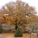 레인보우영동연수원_토론실 이미지