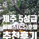 제주 중문 5성급 씨에스(CS)한옥호텔 프라이빗 독채 풀빌라 자쿠지숙소 + 편의점꿀팁