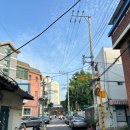 CU 성수한강한신점 | 요즘 핫한 데이트코스 서울 한강 능소화 스팟 위치, 가는 방법