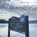 금곡지 | 거제 금곡항 낚시 후기｜초보 낚시의 찌낚시 첫 도전