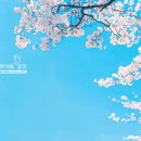 알파현수막