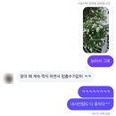 [5월] 내마음 싱숭생숭 들뜨게 하는 5월!
