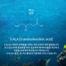 헤어리치 이미지