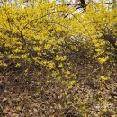 길치근린공원 | 송파 산책코스 추천-오금근린공원부터 오금오름공원까지 데크길 힐링 산책 후기 (가는 방법과 시설 안내)