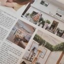 고양이 미용 미오 이미지