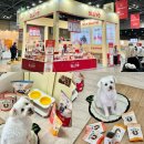 올리브 펫 | 메가주케이펫페어 강아지사료 올리브사료 방문 후기