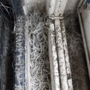 분당-113 | 잘하는곳 경기도 성남시 분당구 동판교로 275 붓들마을 113동 33평 이사청소 후기 – 주방 심각 오염...