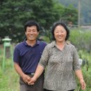 묘수농장 이미지