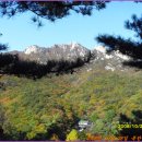 남진축산 이미지