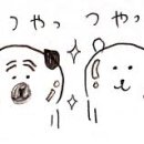 스노우뷰티 이미지