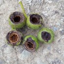 숫골농장 이미지