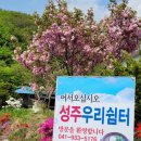 성주우리쉼터 네이버블로그