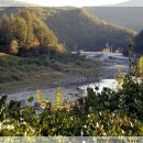 임기역 아래 이미지