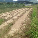 지성농장 이미지