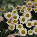 상동호수공원 이미지