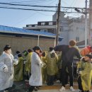 용인대새봄태권도 이미지