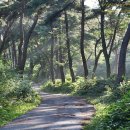 아라메길(1-1) 이미지