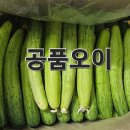 공오이이 이미지